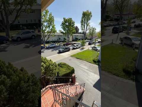 David 3061 - Video 2 of 2