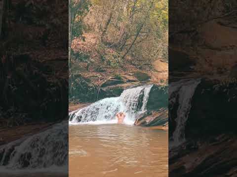 Cachoeiras de Pirenópolis, Goiás #viral #cachoeira #agua #water #shorts #reels