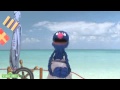 Froga Mp4