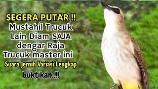 Download lagu Trucukan GACOR ngalas ROPEL PANJANG suara alam AMPUH buat pancingan jadikan trucuk Gacor GARUDA mp3