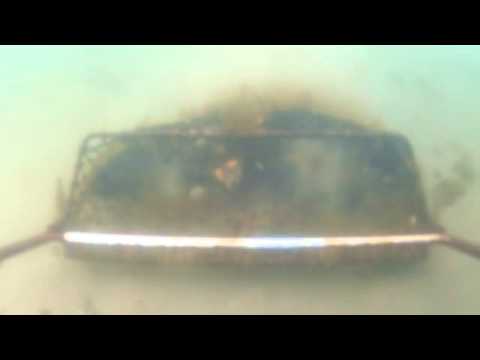 download lagu mp3 mp4 Scallop Dredge Nz, download lagu Scallop Dredge Nz gratis, unduh video klip Scallop Dredge Nz