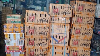 Download lagu Stok melimpah ruah full srigunting, kenari, pleci auri, jalak kebo, trucukan, dll‼️ mp3