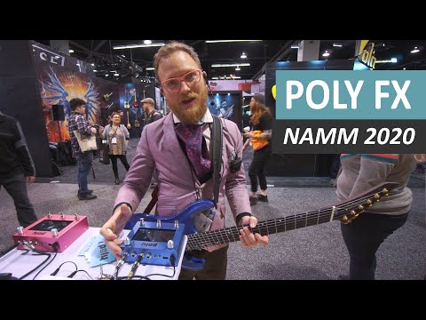 Poly Effects Digit - NAMM 2020