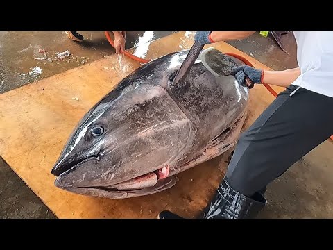 World's Sharpest Knife Cut Giant Bluefin Tuna is Just Like Butter