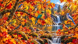 Relaxing Piano & Birdsongs 🌸 Calm Forest Ambience for Sleep, Study & Relaxation