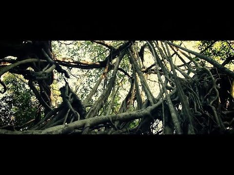 Video thumbnail for Джунгли (Jungle)