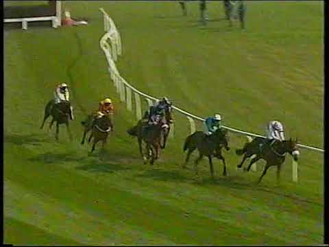 2002 Martell Melling Chase Native Upmanship