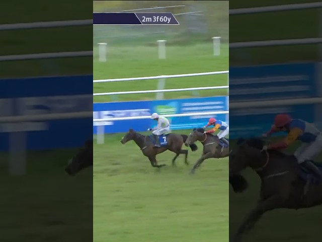 Thumbnail for Post ID: XnH0nGncjMs