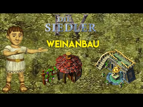 Siedler IV - Die Kunst des Weinanbaus