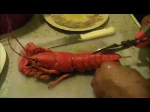 download lagu mp3 mp4 Cooking Frozen Whole Lobster, download lagu Cooking Frozen Whole Lobster gratis, unduh video klip Cooking Frozen Whole Lobster