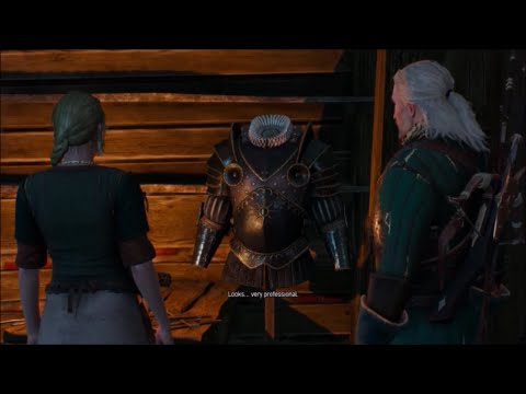 The Witcher 3 Wild Hunt (PS4) - Master Armorers - Gameplay Walkthrough No Commentary