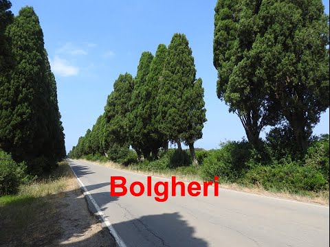 Bolgheri - ein Dorf in der Toskana am Ende der Zypressen-Allee