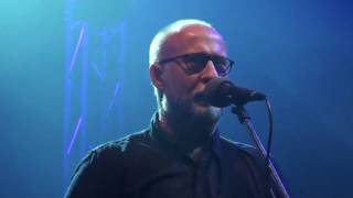BOB MOULD - Flip Your Wig / Hate Paper Doll / I Apologize (live 2016)
