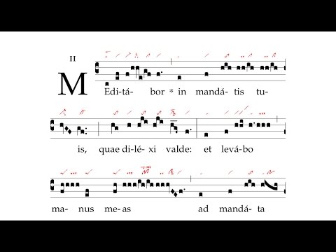 Offertorium: Meditabor