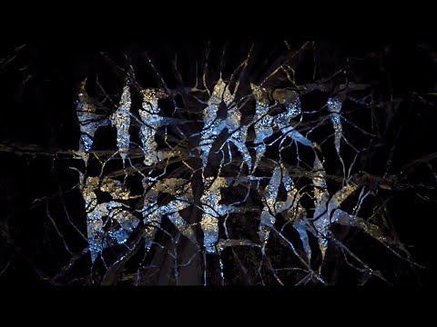 Video thumbnail for Heart Break