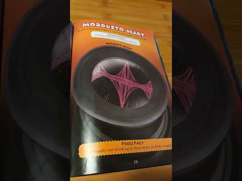 Who would win blue whale vs mosquito