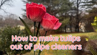 How to make tulips out of pipe cleaners #diy #easycraft #diytutorial #pipecleanercrafts
