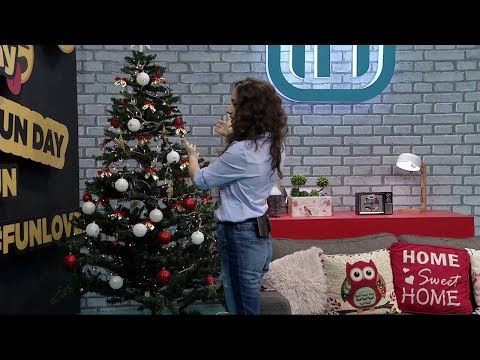 Fun Day 11/12/2017 | IN TV Albania