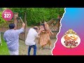 Uppum Mulakum 2 Flowers EP 327