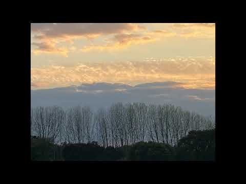 Rodrigo Leão - Transporte