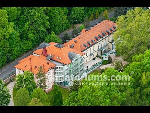 О самом главном передача суставы Влияние кофе на остеохондроз