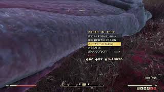 Lv.372 方向音痴が行く！Fallout 76  ～ﾃﾞｲﾘｰ　swan of…、玉座撮影　まったり癒し[女性実況]