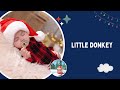 Little Donkey Lullaby Christmas Lullabies For Babies