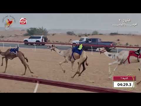  ش 2 (طرايف) لـ احمد سلطان بالرشيد السويدي 9:38 , شارة الديوان 2 2026/10/18 اللبسه حول زمول  