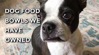 Which Dog Bowl Should You Buy For Your Boston Terrier?