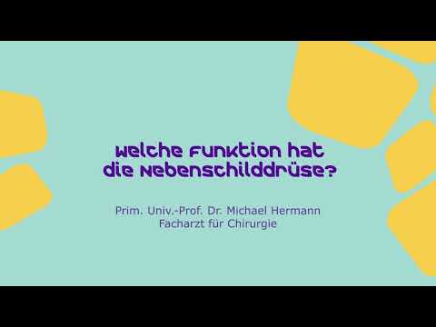 Welche Funktion hat die Nebenschilddrüse? : Ärzterat