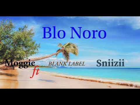 MOGGIE - BLO NORO FT SNIIZII (BLANK LABEL 2023)