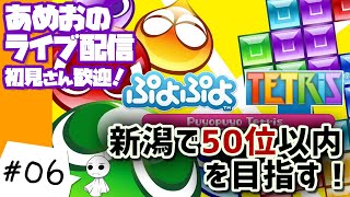 #06【ライブ配信】あめおの久しぶりにテトリスで新潟50位を目指す【ぷよテト】