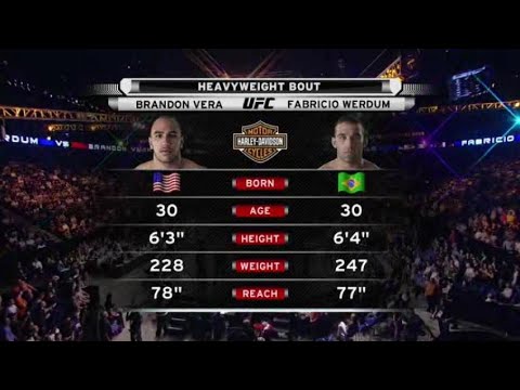 Fabricio Werdum vs Brandon Vera full fight