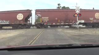 preview picture of video 'BNSF 6039 unit grain train west [HD]'