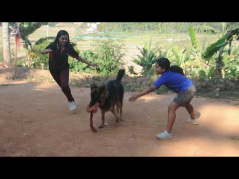 അക്കിലുവും വാവാച്ചിയും ജാക്കിക്കൊപ്പം ...