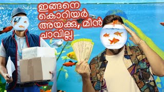 ഇങ്ങനെ കൊറിയർ അയക്കു, മീൻ ചാവില്ല How to do fish courier delivery? Correct method of sending fish