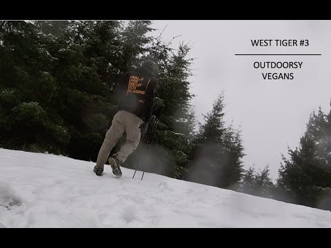 Hiking with Scott | West Tiger #3 | Issaquah, WA