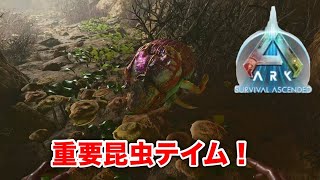 【ゆっくり実況】ARK Survival Ascended PS5 　日本語版ASA発売とは関係なく、今さらフンコロガシをテイムした件　#14