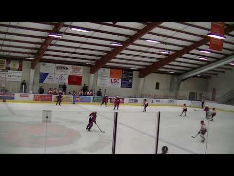 U12 Hockey: Delano v. ArmstrongCooper (part 6)