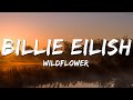 Billie Eilish WILDFLOWER Lyrics