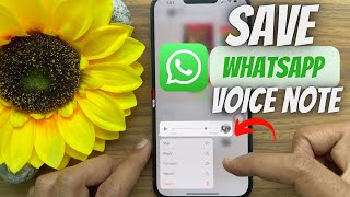 How to download voice notes from WhatsApp on iPhone