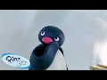 Best Episodes From Season 5 Pingu Official Channel Cartoons For Kids