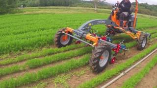 Terrateck Cultitrack eszközhordozó traktor (23Le kivitel)