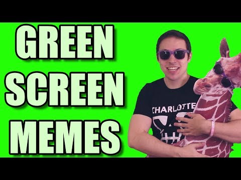 Green Screen Memes - MIAMAFV 2 Day 11