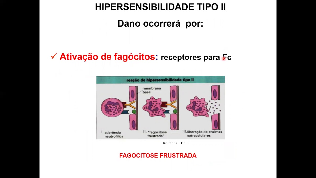 IMUNOLOGIA- Reação de hipersensibilidade tipo II (parte 1)