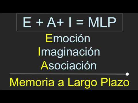 El arte de activar tu memoria | Pablo Lomelí | TEDxAzcapotzalco