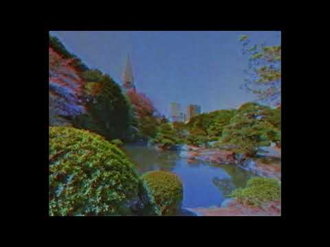 猫 シ Corp. : lofi
