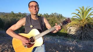 Little Bird of Heaven (Martha Scanlan cover)