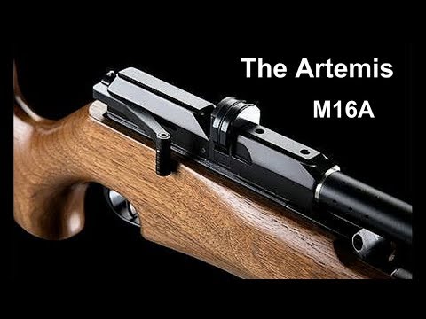 The Artemis M16A in field mini review