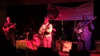 Lil' Ed & The Blues Imperials--  It's A Beautiful World